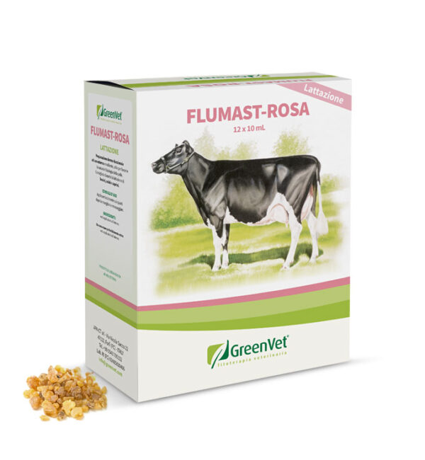 Flumast Rosa